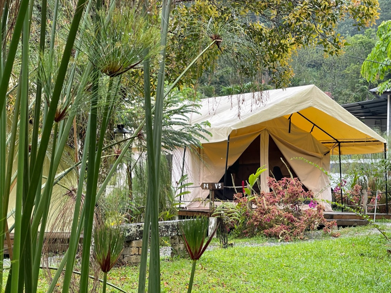 Canopy Villa Tampik Valley Deluxe Safari